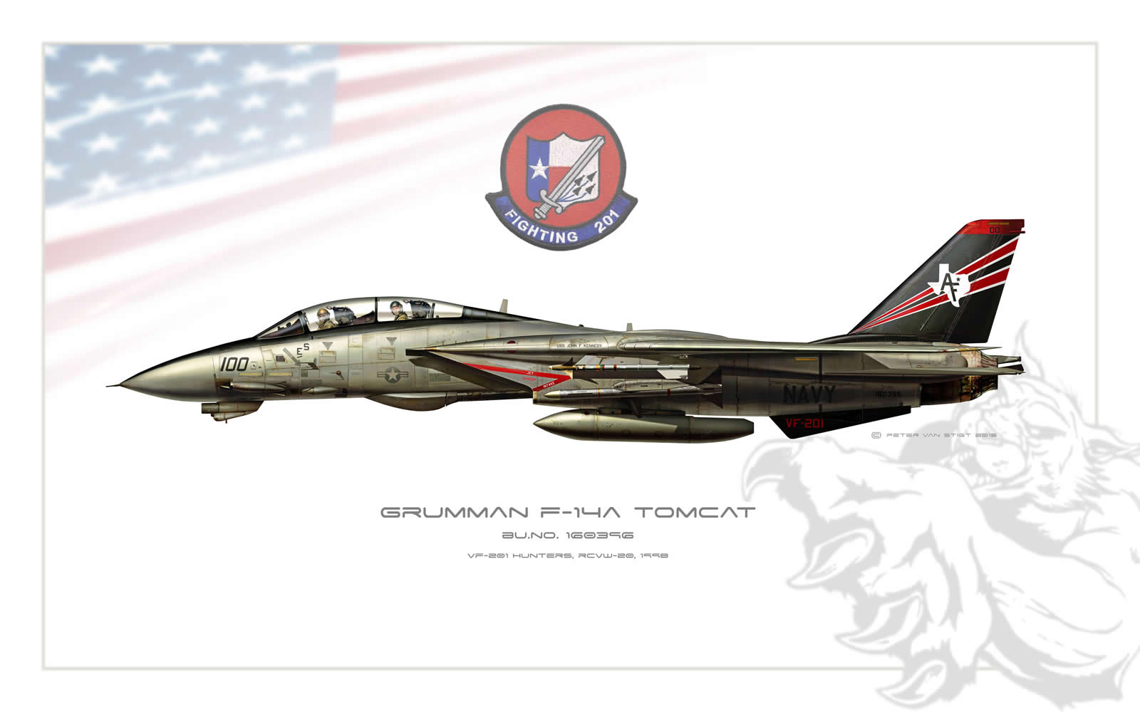 VF-201 Hunters F-14 Tomcat Profile