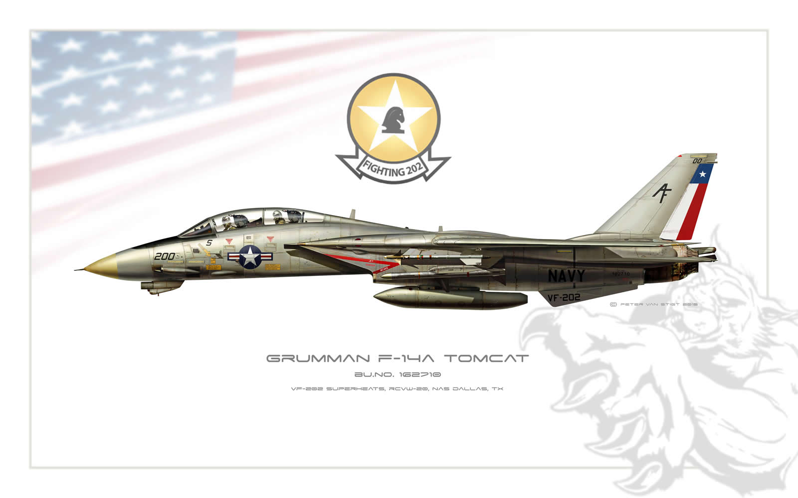 VF-202 Superheats F-14 Tomcat Profile