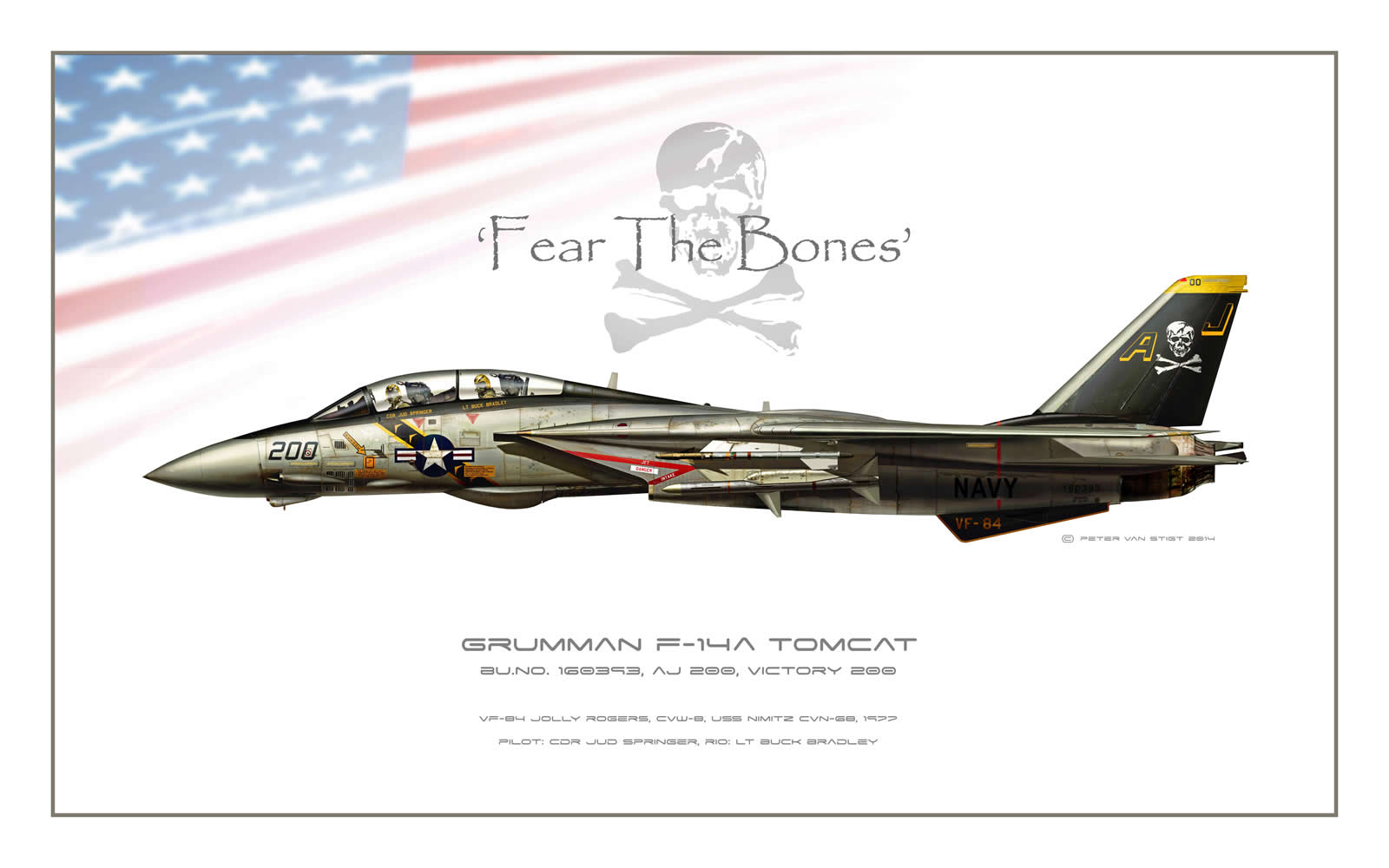 VF-84 Jolly Rogers F-14 Tomcat Profile