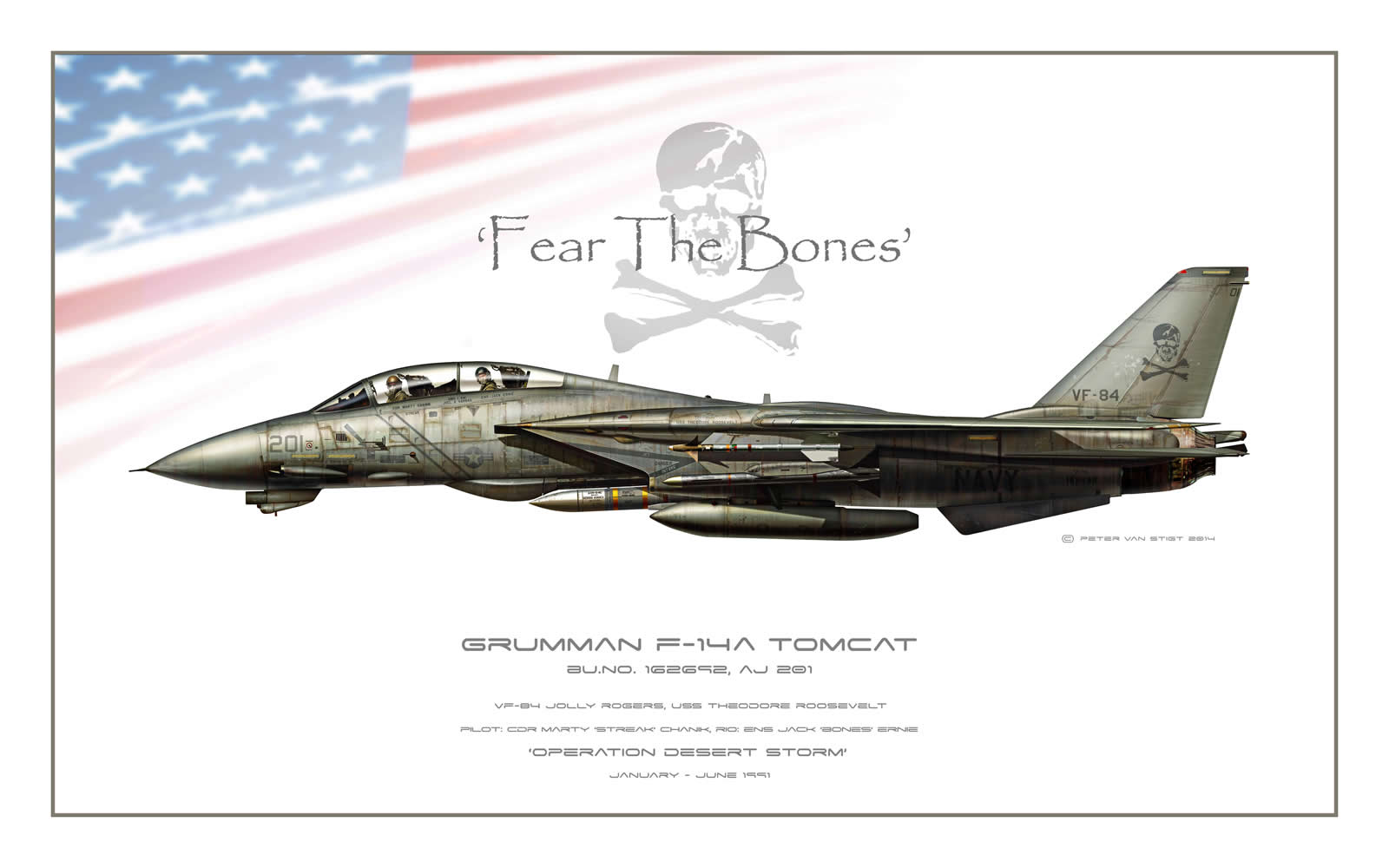 VF-84 Jolly Rogers Low Viz F-14 Tomcat Profile