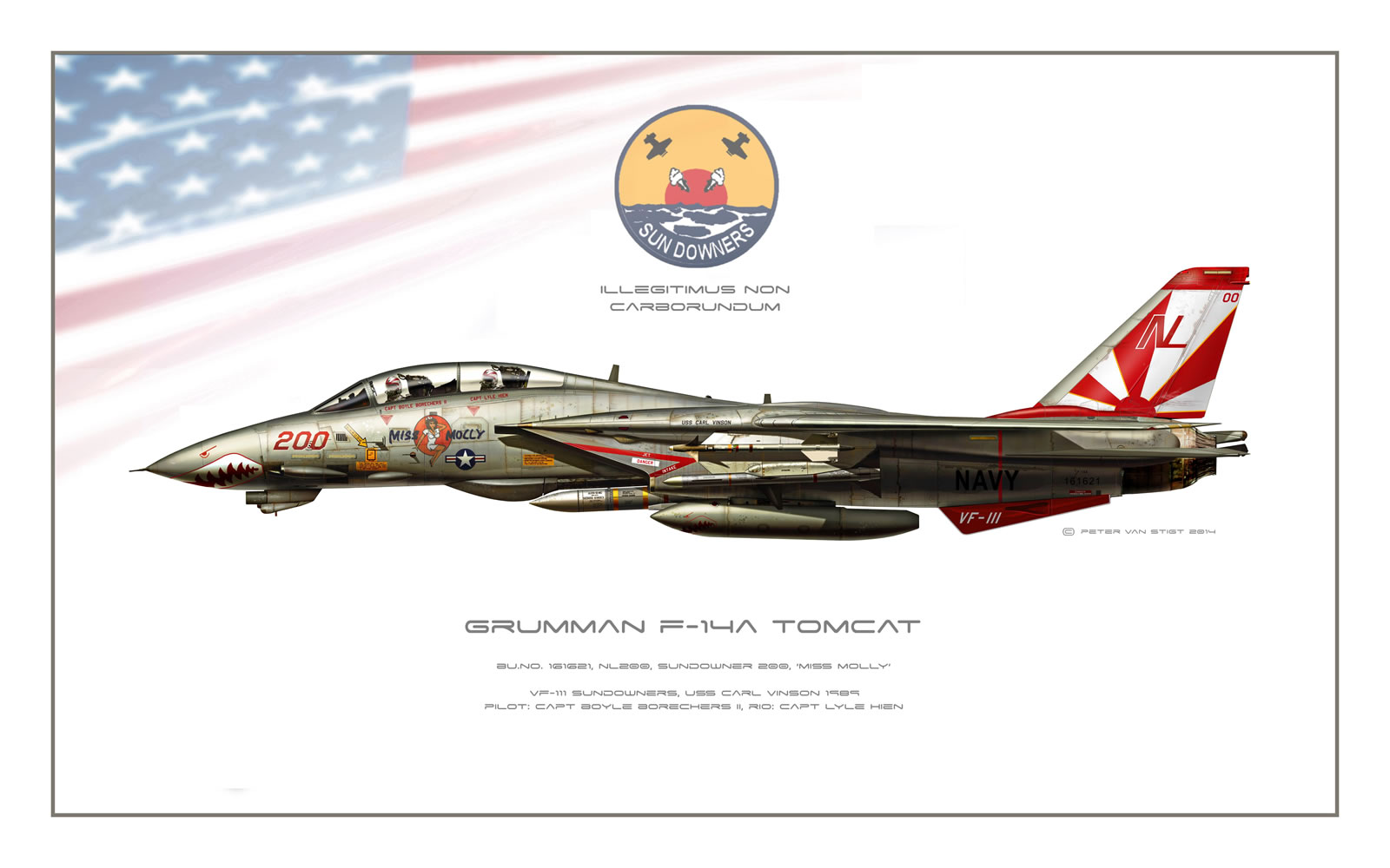 VF-111 Sundowners F-14 Tomcat Profile