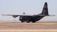 Photo ID 10012 by Santiago Cortelezzi. Argentina Air Force Lockheed C 130B Hercules L 282, TC 60