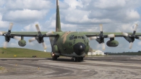 Photo ID 10197 by Julián A. Verón. Argentina Air Force Lockheed KC 130H Hercules L 382, TC 69