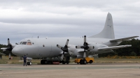 Photo ID 1042 by Andy Walker. Australia Navy Lockheed P 3C Orion, A9 656