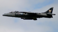 Photo ID 1045 by Steven Hadlow. UK Air Force British Aerospace Harrier GR 7, ZD407