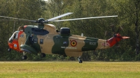 Photo ID 83248 by Tim Van den Boer. Belgium Air Force Westland Sea King Mk48, RS03