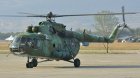 Photo ID 83171 by Peter Terlouw. Bulgaria Air Force Mil Mi 17, 421