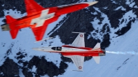 Photo ID 85437 by Agata Maria Weksej. Switzerland Air Force Northrop F 5E Tiger II, J 3082