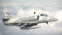 Photo ID 11065 by Martin Otero. Argentina Air Force Douglas A 4AR Fightinghawk, C 933