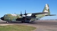 Photo ID 11268 by Martin Kubo. Argentina Air Force Lockheed KC 130H Hercules L 382, TC 70
