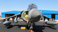 Photo ID 92199 by Helder Afonso. Italy Navy McDonnell Douglas AV 8B Harrier ll, MM7218