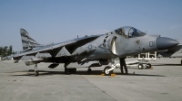 Photo ID 95963 by David F. Brown. USA Marines McDonnell Douglas AV 8B Harrier ll, 165354