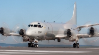 Photo ID 97023 by Mark Munzel. USA Navy Lockheed P 3C Orion, 163004