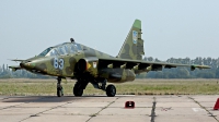 Photo ID 97275 by Carl Brent. Ukraine Air Force Sukhoi Su 25UBM1,  