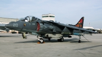 Photo ID 98140 by David F. Brown. USA Marines McDonnell Douglas AV 8B Harrier II, 163867