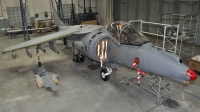 Photo ID 98369 by rinze de vries. UK Air Force British Aerospace Harrier GR 9A, ZD461