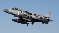 Photo ID 100305 by Alfonso S.. Italy Navy McDonnell Douglas AV 8B Harrier ll, MM7217