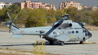 Photo ID 12870 by Cristian Schrik. Spain Air Force Aerospatiale AS 332B Super Puma, HD 21 2