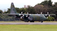 Photo ID 101076 by Carl Brent. Japan Air Force Lockheed C 130H Hercules L 382, 75 1075