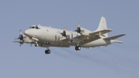 Photo ID 13335 by Marcel Bos. Australia Navy Lockheed P 3W Orion, A9 661