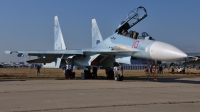 Photo ID 104400 by Peter Terlouw. Russia Air Force Sukhoi Su 30MKI Flanker, RF 95621