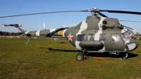 Photo ID 104783 by Maurice Kockro. Russia Air Force Mil Mi 2K, 32 YELLOW