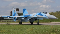 Photo ID 107874 by Chris Lofting. Ukraine Air Force Sukhoi Su 27S,  