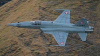 Photo ID 108353 by Martin Thoeni - Powerplanes. Switzerland Air Force Northrop F 5E Tiger II, J 3093