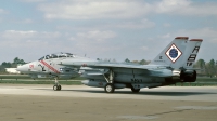 Photo ID 109907 by David F. Brown. USA Navy Grumman F 14B Tomcat, 163225