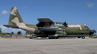 Photo ID 14325 by Chris Lofting. Argentina Air Force Lockheed KC 130H Hercules L 382, TC 70