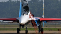 Photo ID 111880 by Peter Terlouw. Russia Air Force Sukhoi Su 27UB, 20 BLUE