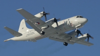 Photo ID 14531 by Jaco Haasnoot. Netherlands Navy Lockheed P 3C Orion, 301