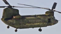 Photo ID 113139 by frank van de waardenburg. Netherlands Air Force Boeing Vertol CH 47D Chinook, D 106