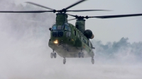 Photo ID 113975 by Devid Ryckewaert. Netherlands Air Force Boeing Vertol CH 47D Chinook, D 106