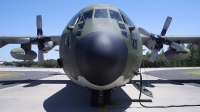 Photo ID 115783 by Fernando Sousa. Portugal Air Force Lockheed C 130H 30 Hercules L 382, 16806