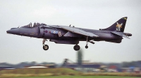 Photo ID 1502 by Paul Tiller. UK Air Force British Aerospace Harrier GR 7, ZD407