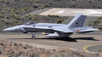 Photo ID 117313 by Bart Hoekstra. Spain Air Force McDonnell Douglas F A 18A Hornet, C 15 77