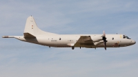 Photo ID 117848 by Andreas Zeitler - Flying-Wings. Germany Air Force Lockheed P 3C Orion, 60 06