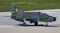 Photo ID 121171 by Chris Lofting. Croatia Air Force Mikoyan Gurevich MiG 21UMD, 167