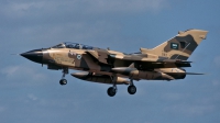 Photo ID 118184 by Henk Schuitemaker. Saudi Arabia Air Force Panavia Tornado IDS, 762