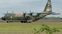 Photo ID 119521 by Fabian Pesikonis. Argentina Air Force Lockheed C 130H Hercules L 382, TC 66