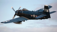 Photo ID 118898 by Baldur Sveinsson. Private Private Douglas A 1D Skyraider AD 4N, F AZDQ