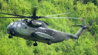 Photo ID 120186 by Thomas Ziegler - Aviation-Media. Germany Army Sikorsky CH 53G S 65, 84 46