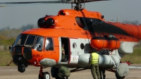 Photo ID 121294 by Martin Kubo. Argentina Air Force Mil Mi 171E, H 95