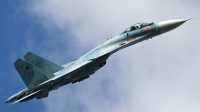 Photo ID 123346 by Thomas Ziegler - Aviation-Media. Russia Air Force Sukhoi Su 27SM3, RF 93721