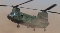 Photo ID 124861 by Sander Meijering. Netherlands Air Force Boeing Vertol CH 47D Chinook, D 666