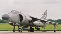Photo ID 127844 by Jan Eenling. UK Navy British Aerospace Sea Harrier FA 2, ZH800