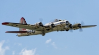 Photo ID 126619 by Dariusz Siusta. Private Yankee Air Force Boeing B 17G Flying Fortress 299P, N3193G