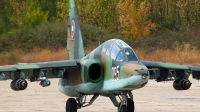 Photo ID 129076 by Anton Balakchiev. Bulgaria Air Force Sukhoi Su 25UBK, 095