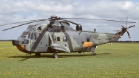 Photo ID 16908 by Rainer Mueller. Germany Navy Westland Sea King Mk41, 89 52